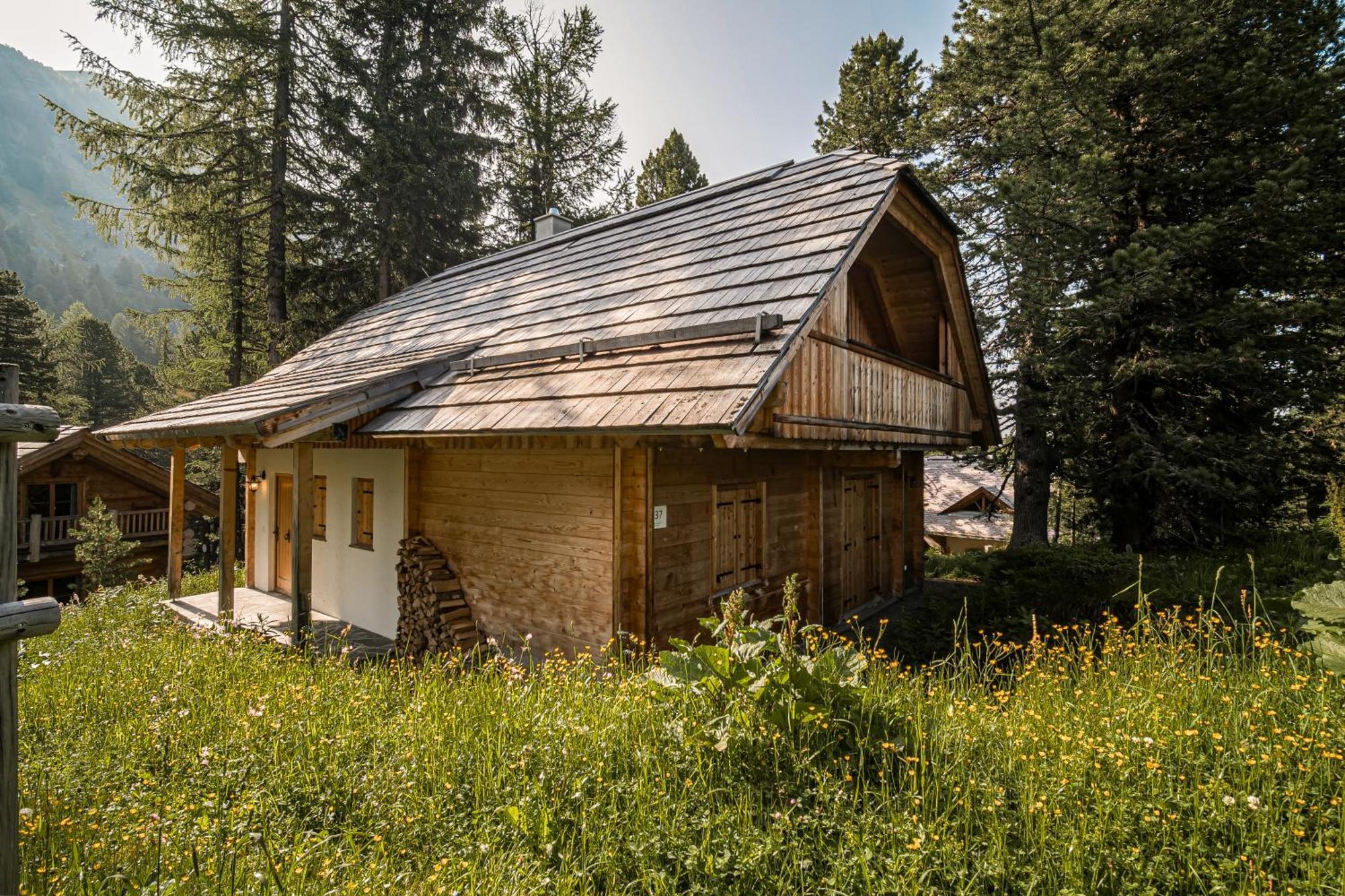 Alpin-Huetten Auf Der Turracherhoehe Haus Murmeltier By S4Y Туррахер-Гее Екстер'єр фото