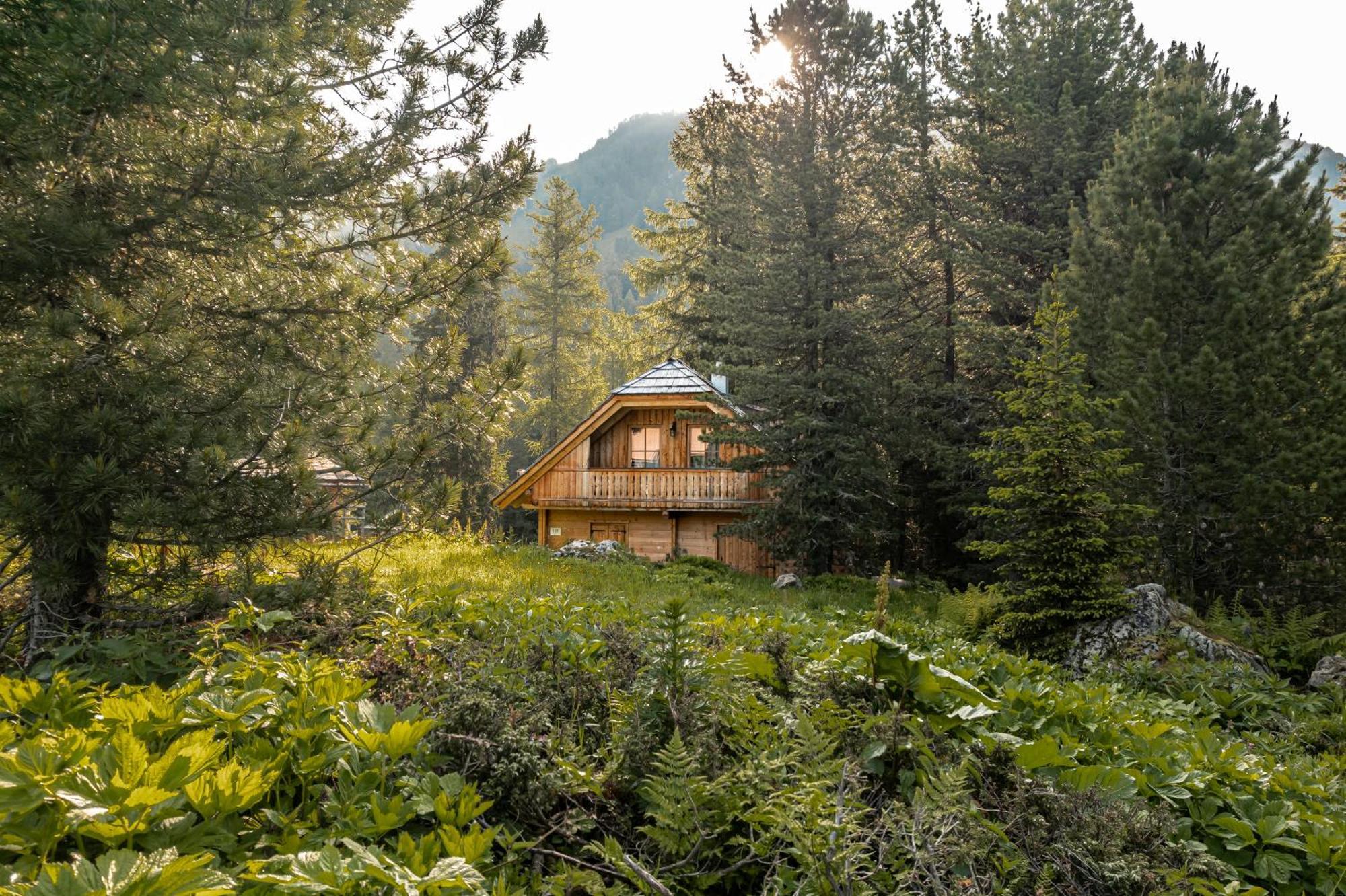 Alpin-Huetten Auf Der Turracherhoehe Haus Murmeltier By S4Y Туррахер-Гее Екстер'єр фото