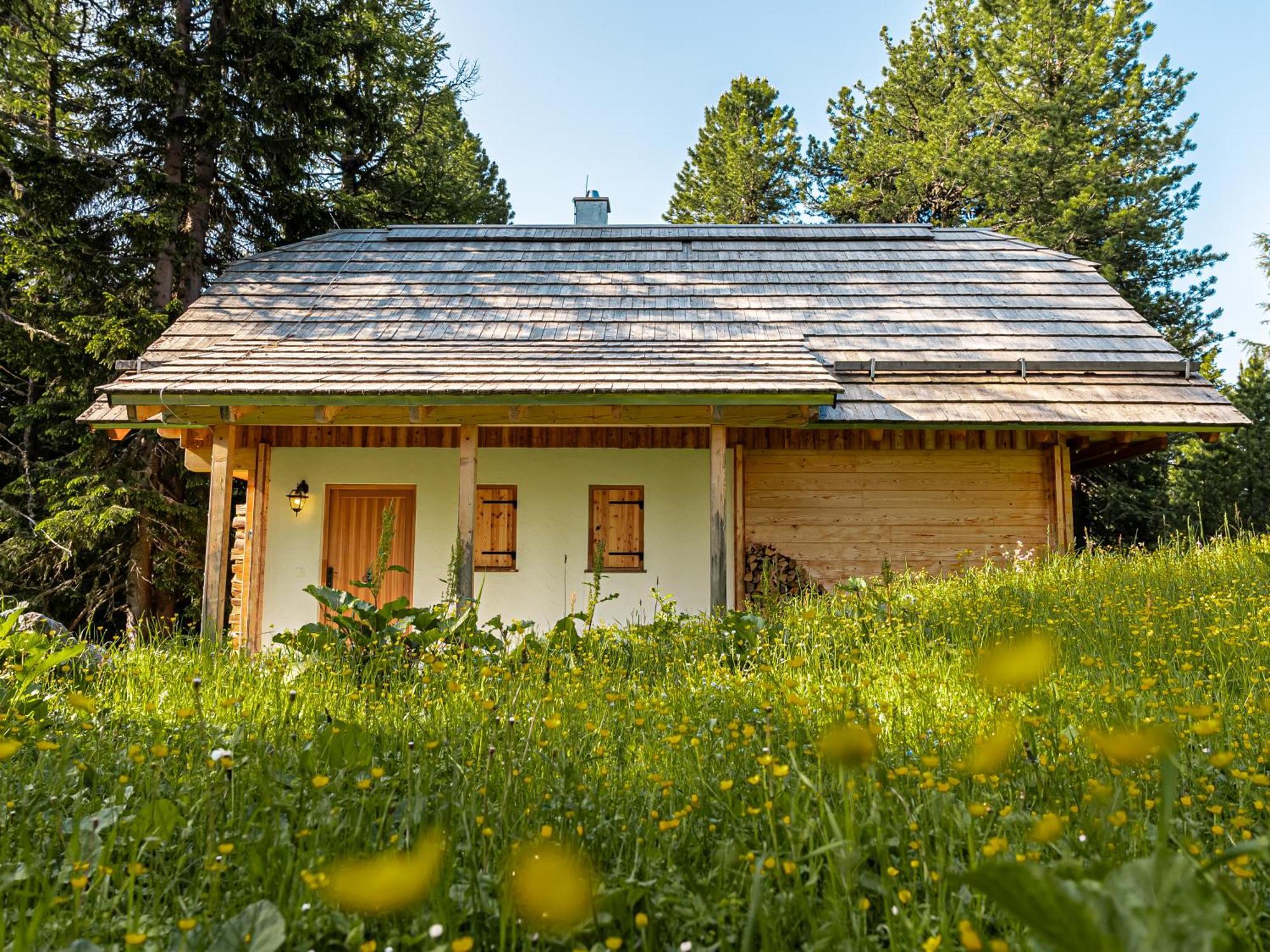 Alpin-Huetten Auf Der Turracherhoehe Haus Murmeltier By S4Y Туррахер-Гее Екстер'єр фото